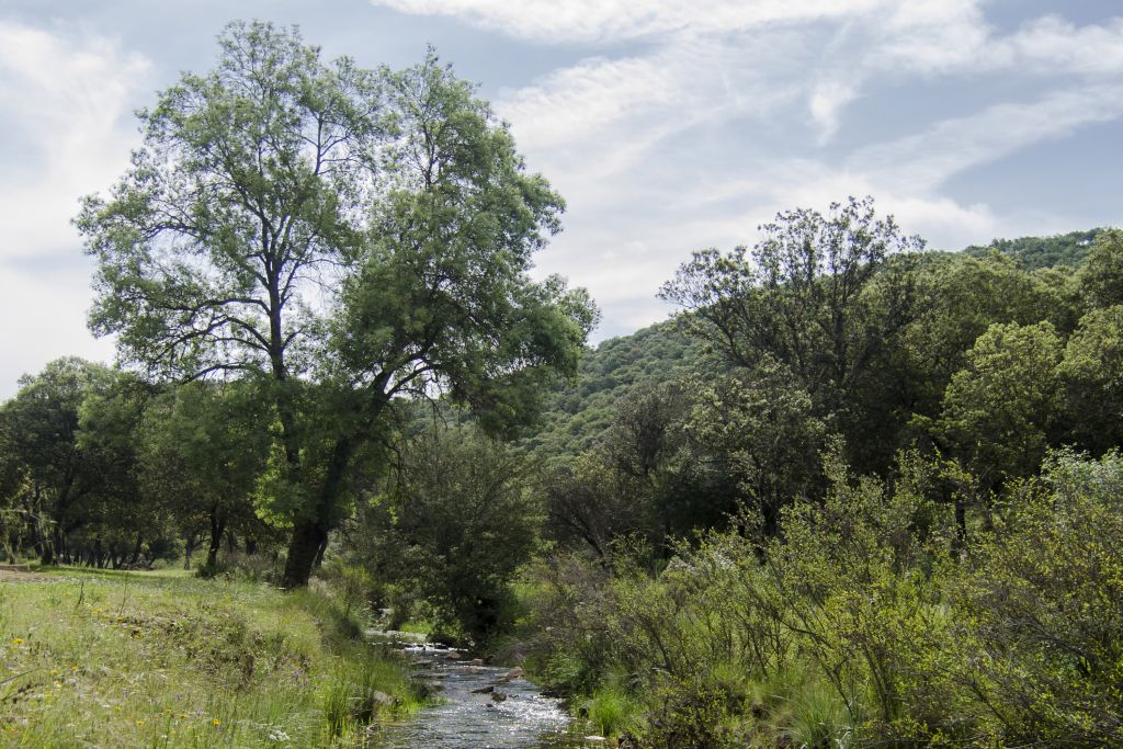 Sendero Arroyo Martin Perez