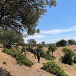 actividades-para-colegios-en-jaen-aldeaquemada-la-cimbrarra-ecoturismo-excursiones-fin-de-curso-arte-ruprestre